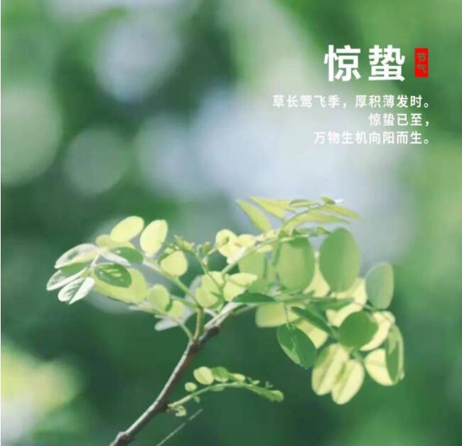 QQ截图20230306162327.jpg