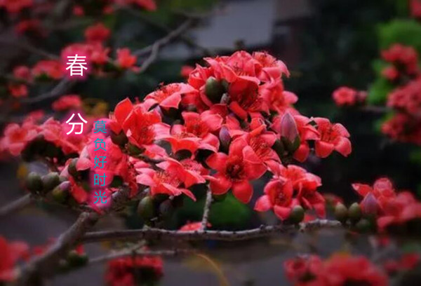 QQ截图20230322155923.jpg
