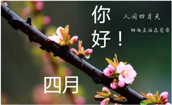 QQ截图20240402164346.png
